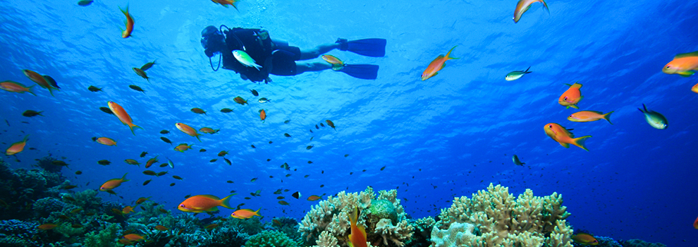 scuba diving Nassau
