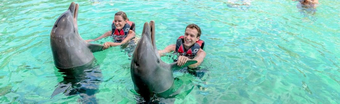 Play With Dolphins in Nassau
