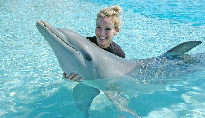 Bahamas Dolphins