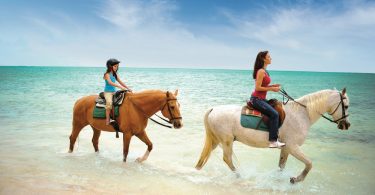 horseback riding bahamas
