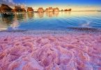 Pink Sands Resort